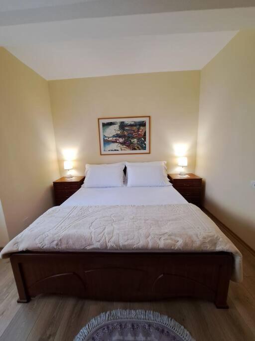 Quiet, Cozy, Luminous Apartment Tirana Bagian luar foto