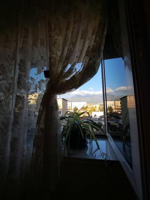 Quiet, Cozy, Luminous Apartment Tirana Bagian luar foto