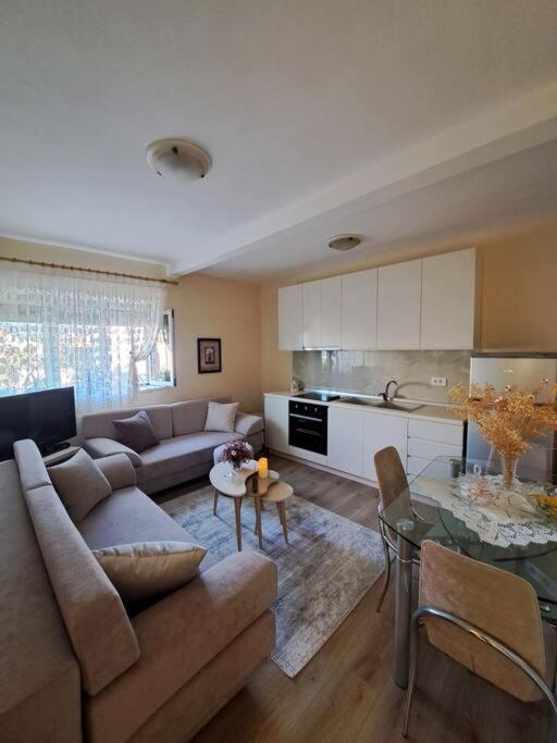 Quiet, Cozy, Luminous Apartment Tirana Bagian luar foto