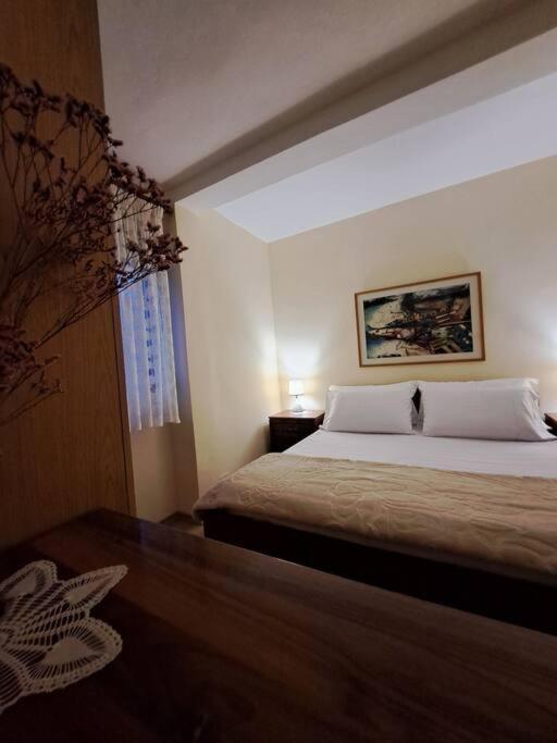 Quiet, Cozy, Luminous Apartment Tirana Bagian luar foto